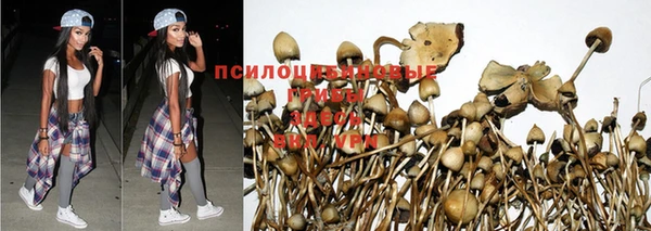 экстази Алзамай