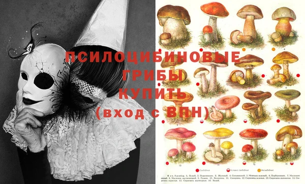 амф Рославль